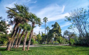 Δήμος Αθηναίων: Το πάρκο Δρακόπουλου παραδίδεται στη γειτονιά αναβαθμισμένο, ασφαλές και φωτεινό