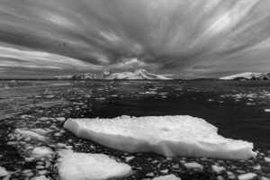 Οι πρώτες εικαστικές εκθέσεις στην Πινακοθήκη και στο Κέντρο Τεχνών του Δήμου Αθηναίων