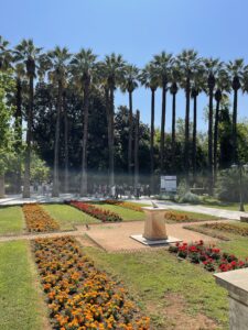 Δήμος Αθηναίων: Αυξημένα μέτρα ασφαλείας λόγω ισχυρών ριπών ανέμου στην Αττική – Κλειστός ο Εθνικός Κήπος