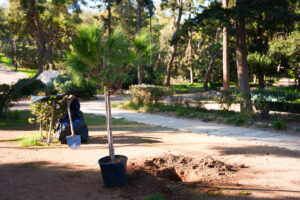 Δήμος Αθηναίων: Το Πράσινο Ταμείο ενέκρινε χρηματοδότηση για την ανάπλαση και ανάδειξη του Λόφου του Φιλοπάππου