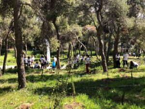 Συνεχείς δενδροφυτεύσεις σε Λυκαβηττό και Στρέφη πραγματοποιεί ο Δήμος Αθηναίων
