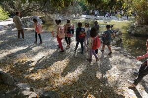 Η Αθήνα γιορτάζει την Παγκόσμια Ημέρα Περιβάλλοντος με τη συμμετοχή των πολιτών