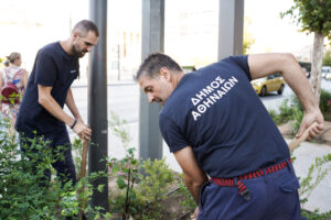 Δήμος Αθηναίων: Η οδός Πανεπιστημίου απέκτησε χρώμα