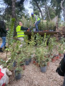 Δήμος Αθηναίων: 500 νέα δέντρα στο Άλσος Ιλισίων